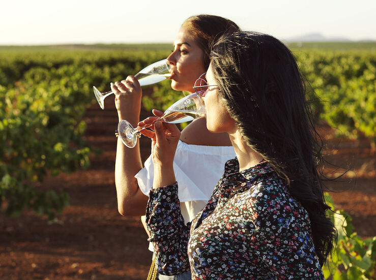 Maridaje de Vinos Potencia los Sabores de tus Platos con los Mejores Consejos