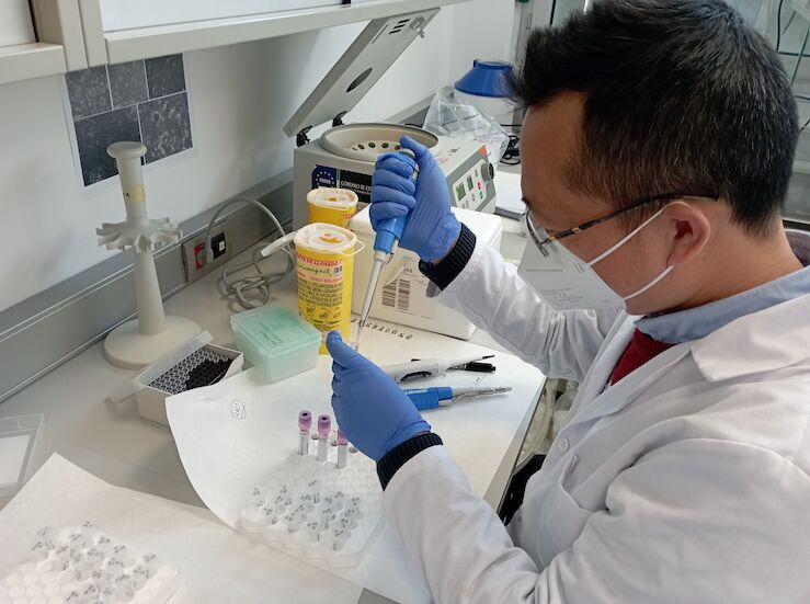 Detectado el virus de Influenza Aviar en una explotacin de aves de corral en Ahillones