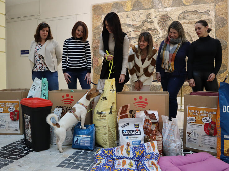 Entregados productos recogidos en Campaa de Donacin para Animales de Diputacin Badajoz