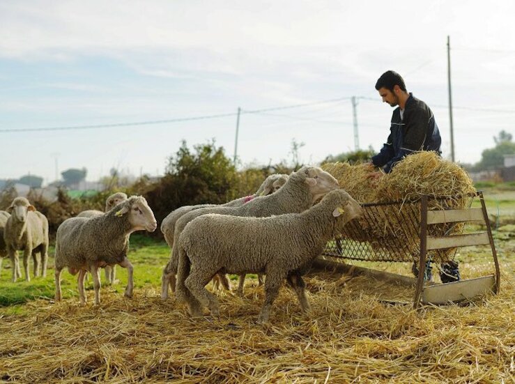 La nueva PAC proporcionar una mayor estabilidad al campo extremeo