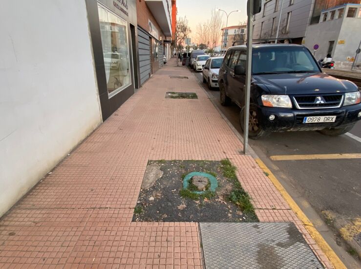 Cabezas exige a al alcalde de Badajoz que no tape ms alcorques