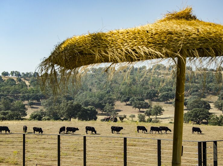 Hbitat Cigea Negra organiza una experiencia para conocer ganaderas en Extremadura
