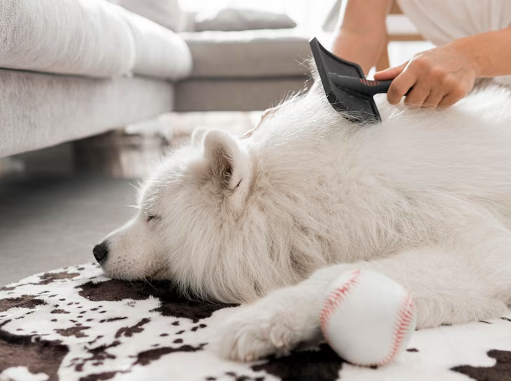 Beneficios de cuidar el cabello de tu mascota