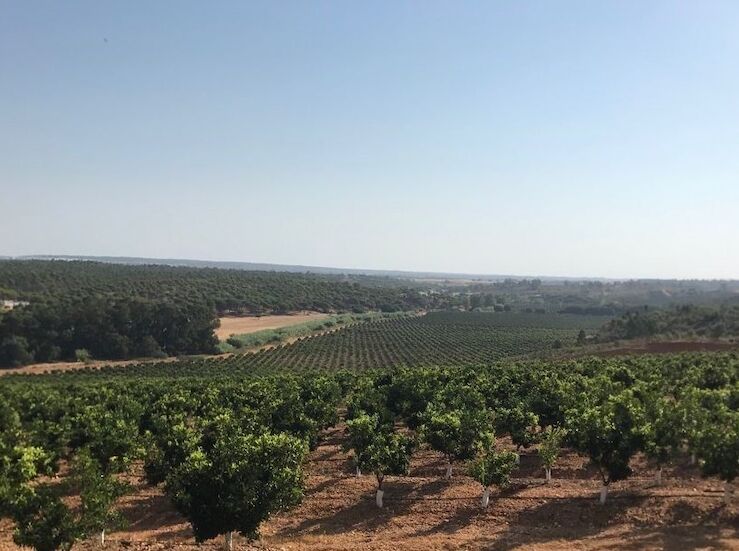 La Junta reafirma que trabaja para haya de verdad un regado en Tierra de Barros