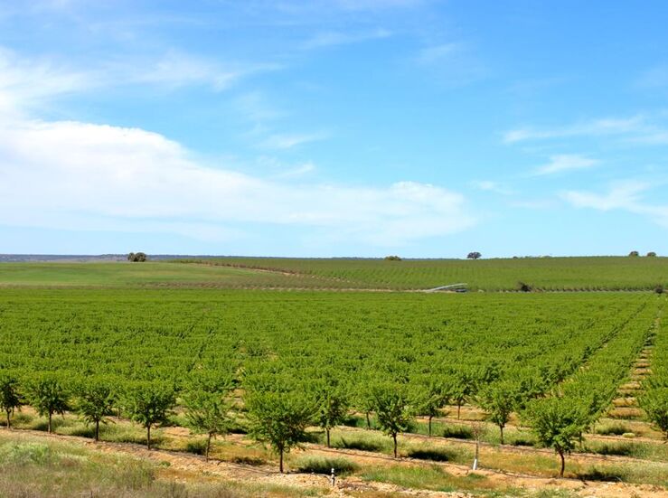 Junta convoca ayudas para impulsar participacin en regmenes calidad agroalimentaria 