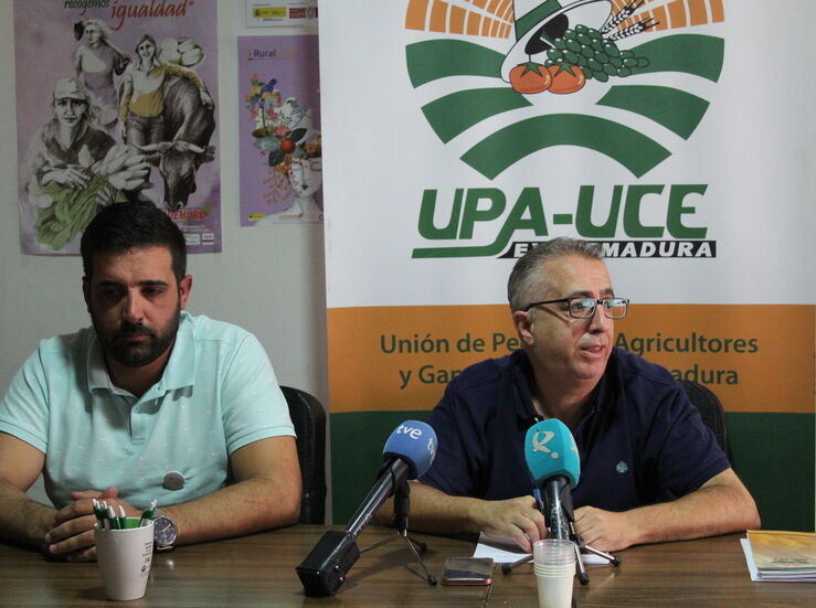 UPAUCE y Asomanca piden a productores aceituna que no acepten determinados precios 