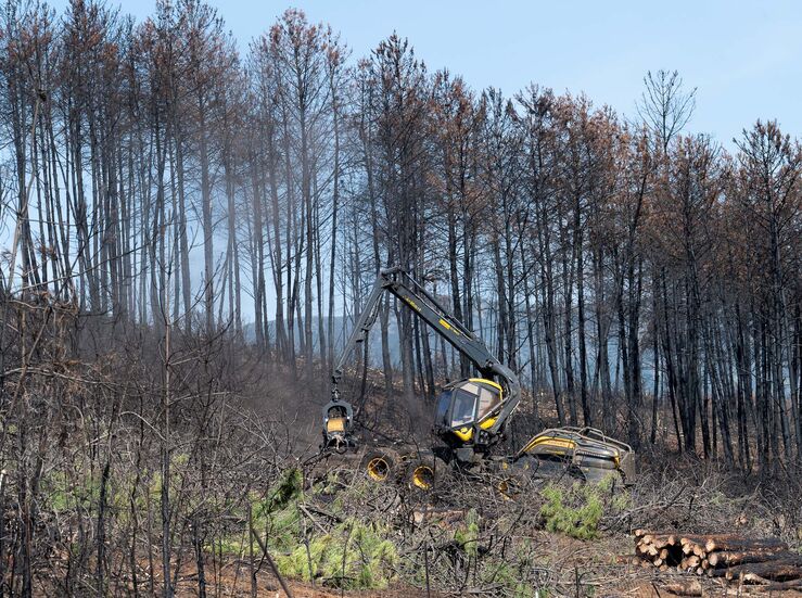 Bruselas propone movilizar 120M para ayudar a Espaa a recuperarse de los incendios