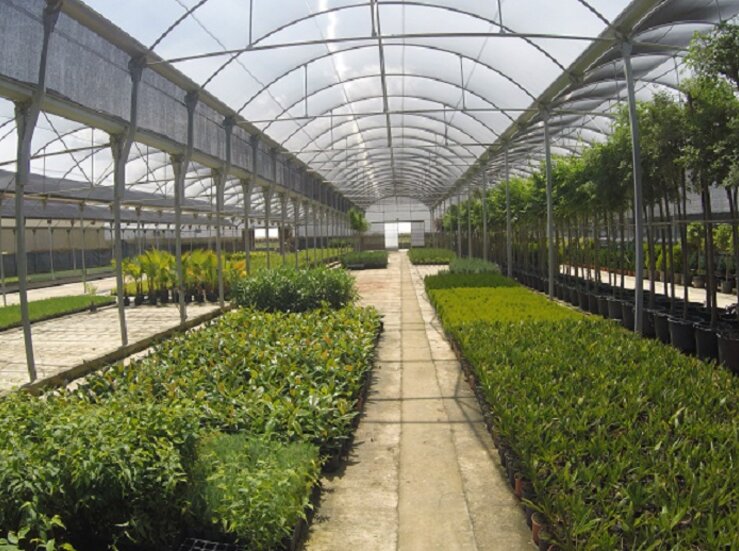 Vivero Provincial inicia campaa anual suministro de plantas para zonas verdes municipales