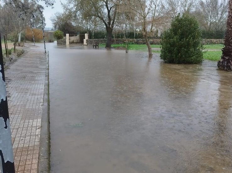 Gobierno declara territorios de Extremadura como Zona Gravemente Afectada por Emergencia