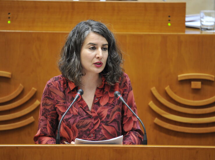 Unidas por Extremadura critica dficit en sanidad igualdad y campo en los PGEx 2024