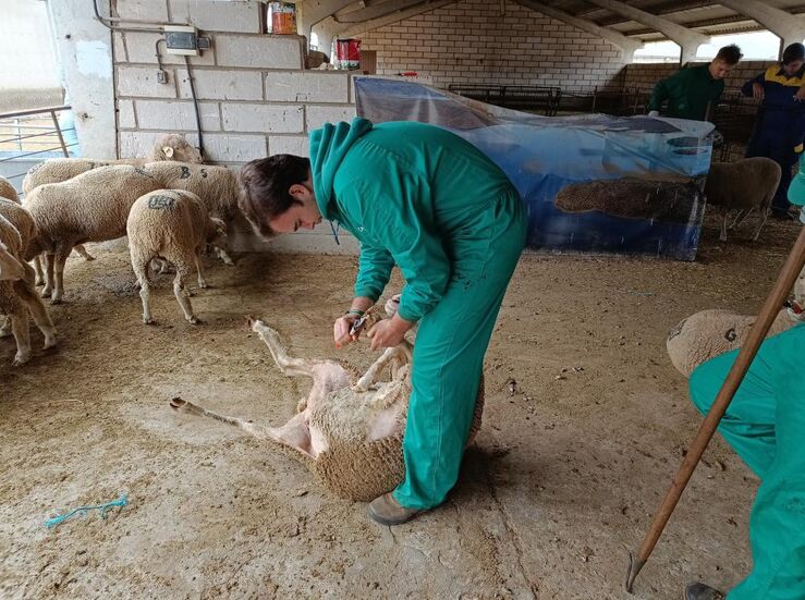 Extremadura registra variacin interanual de actividad global del 24 en trminos reales