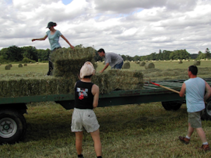 Actividades al aire libre para ayudar a fomentar creatividad y colaboracin en equipos