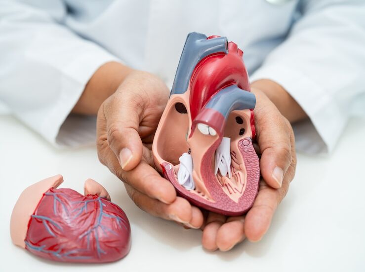 Suministro dispositivos de sustitucin valvular artica percutnea para rea Salud Badajoz