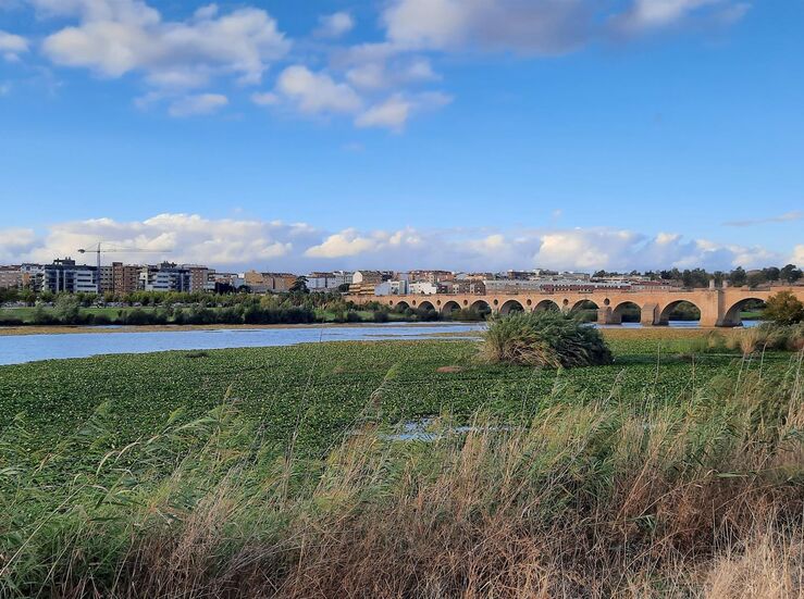 Salvemos el Guadiana ve con agrado el acuerdo alcanzado para erradicar el nenfar