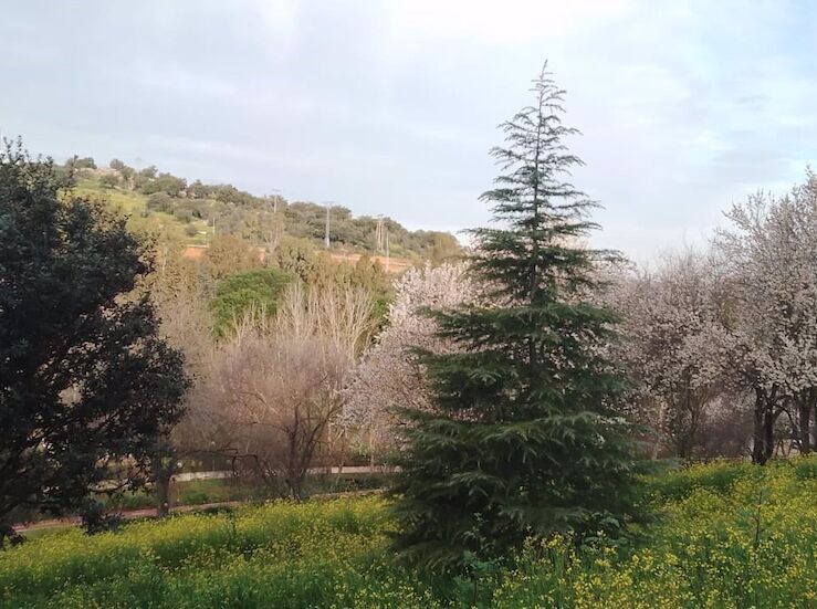 Funerales ecolgicos en Espaa la nueva tendencia verde en el sector