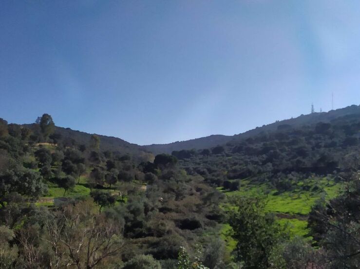 La Junta examina la informacin requerida a la empresa de la mina de Cceres