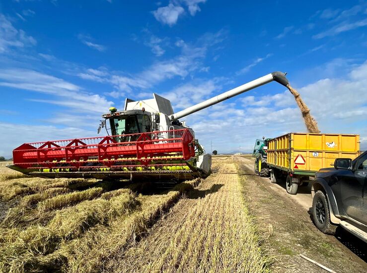 Antes diciembre 2834 millones anticipo de PAC para agricultores y ganaderos extremeos
