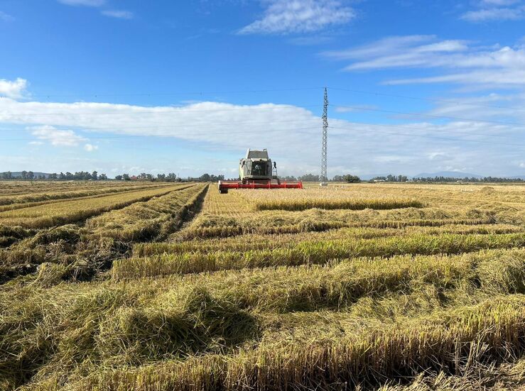 CCOO denuncia el bloqueo del convenio del campo en Extremadura por parte de la patronal