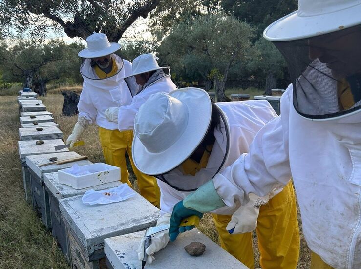 Apaex pide a Guardiola que tome medidas urgentes para paliar incierta campaa agrcola