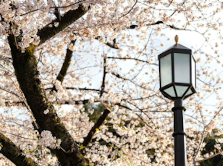 Mantener tu comunidad de vecinos en orden claves legales limpieza y aire acondicionado