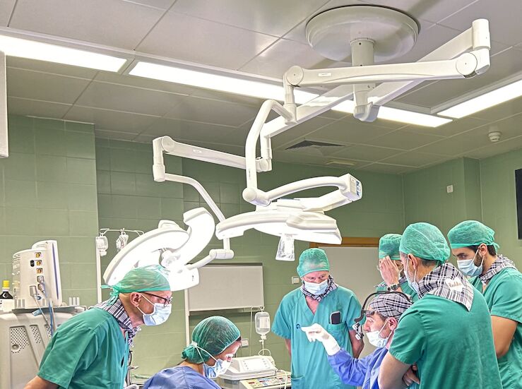 Rinofallas Congreso de Referencia en Rinoplastia en Valencia