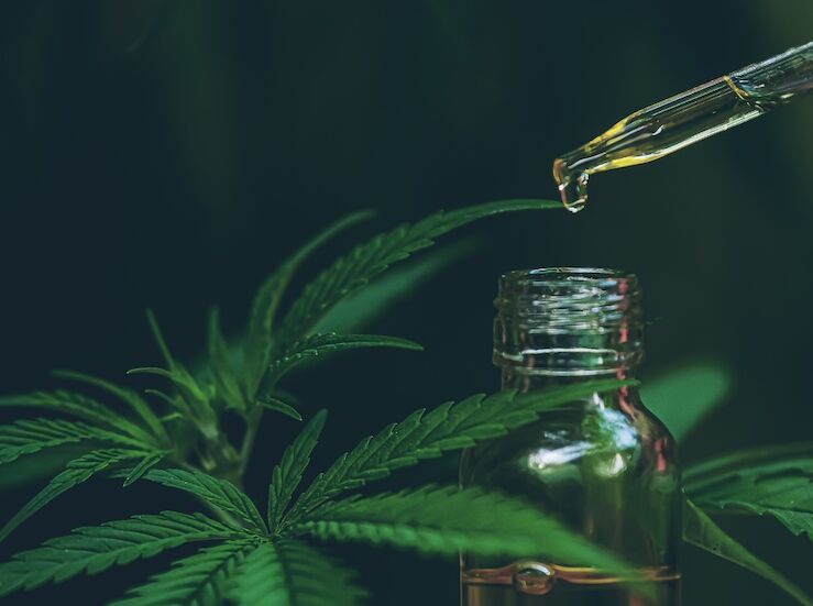 Impacto de los productos CBD en la sociedad moderna