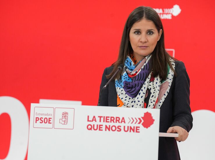 PSOE espera que Junta acepte planteamiento del Gobierno en acogida de menores migrantes