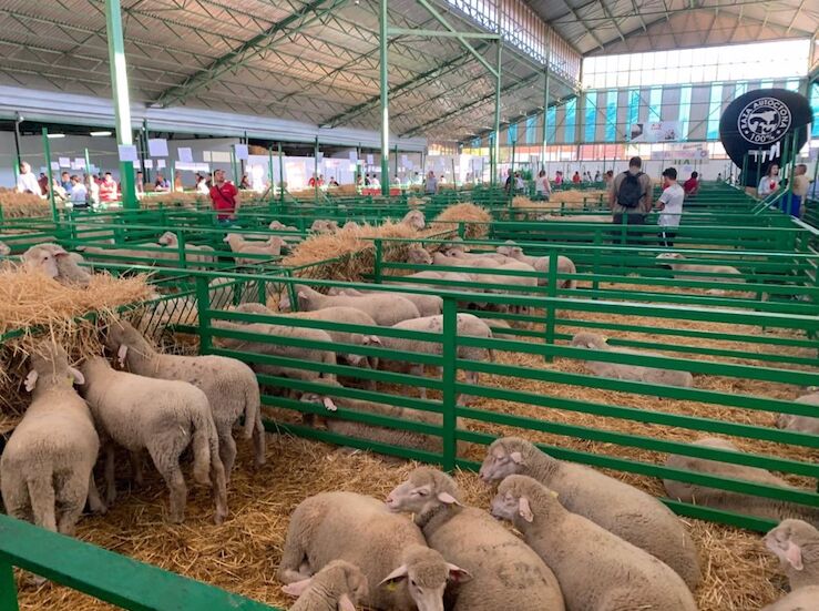 La Junta apoya al sector ganadero durante la celebracin de la FIG Zafra