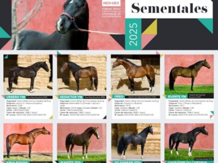 El Clnico Veterinario de UEx ofrece 11 caballos sementales de una calidad inigualable