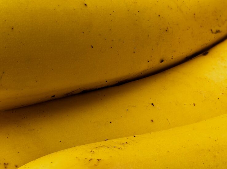 Multinacional bananera Chiquita violencia pagos forzados y cobertura informativa