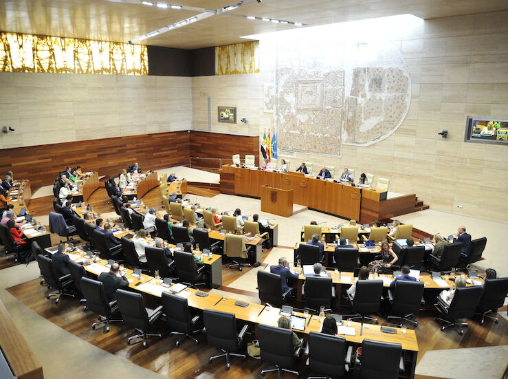 Tasa Enresa fusin Don BenitoVillanueva o la corrupcin centran el Pleno de Asamblea