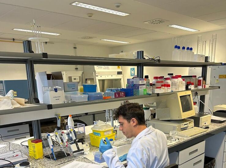 Extremadura oferta por primera vez las becas Fulbright para investigar en Estados Unidos