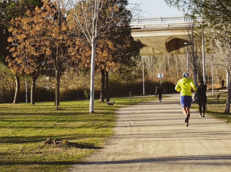 Adjudicadas por 686070 euros mejoras de jardines y caminos del Guadiana y Proserpina