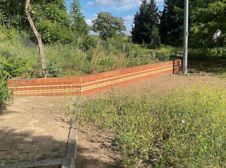 PSOEBadajoz denuncia que el Ayuntamiento hace lo menos que puede por Suerte de Saavedra