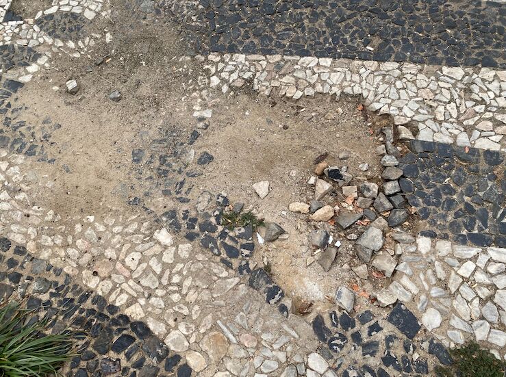 PSOEBadajoz reclama al gobierno local el arreglo del empedrado de la Plaza de San Andrs 