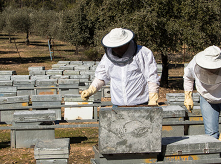 UPAUCE logra acuerdo con la CHG para instalar colmenas en los mrgenes del ro Guadiana
