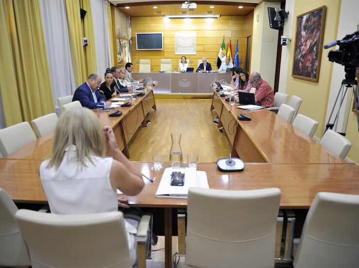 El PP valora el gran trabajo del Gobierno de Guardiola en proteccin de menores 