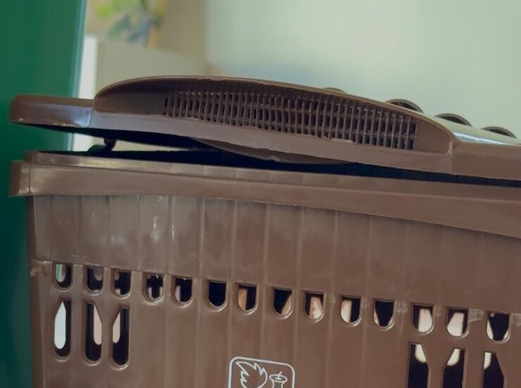 MsMedio te acompaa con sus contenedores marrones un paso clave para la sostenibilidad