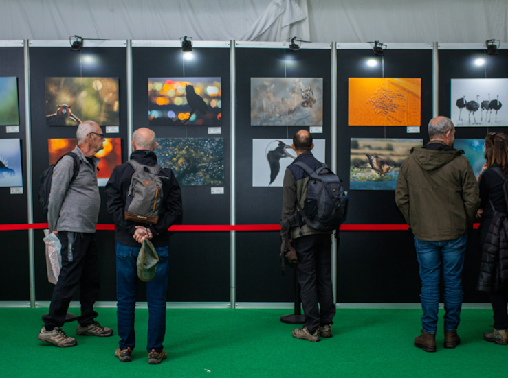 Feval recibir una 61000 de la Junta para financiar la XXI FIO