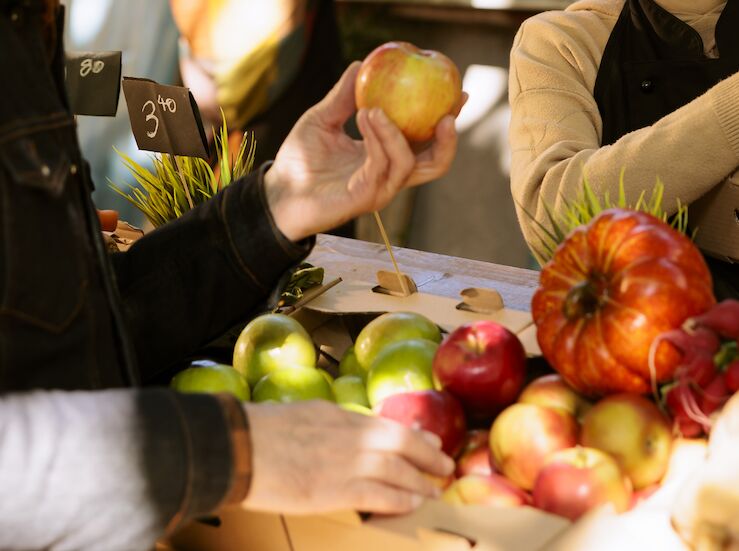 La Diputacin otorga 500000 a financiar iniciativas que reactiven economa de municipios