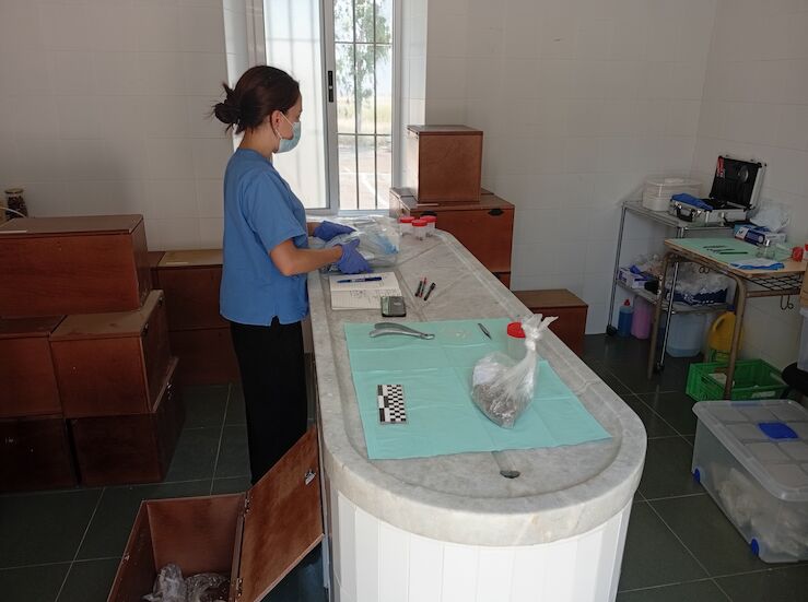 Comienzan trabajos para identificar restos exhumados en fosas del cementerio de Castuera