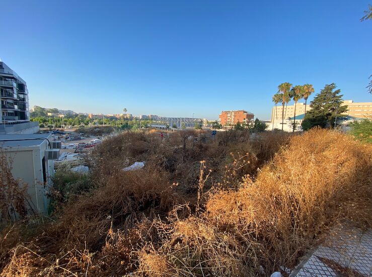 Asociacin Cvica de Badajoz urge a la Junta una base del Infoex ante la desproteccin