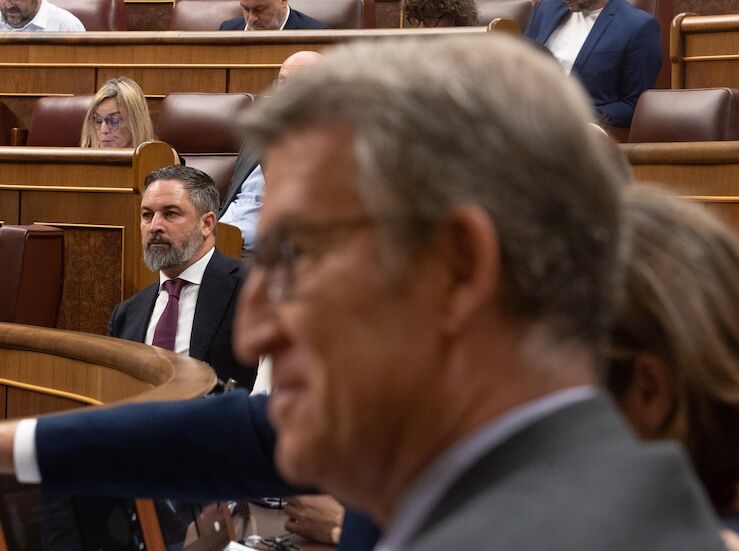 Vox cumple un ao fuera de los gobiernos autonmicos del PP