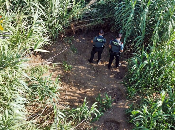 Investigado un vecino de Benquerencia de la Serena por cultivo y elaboracin de drogas