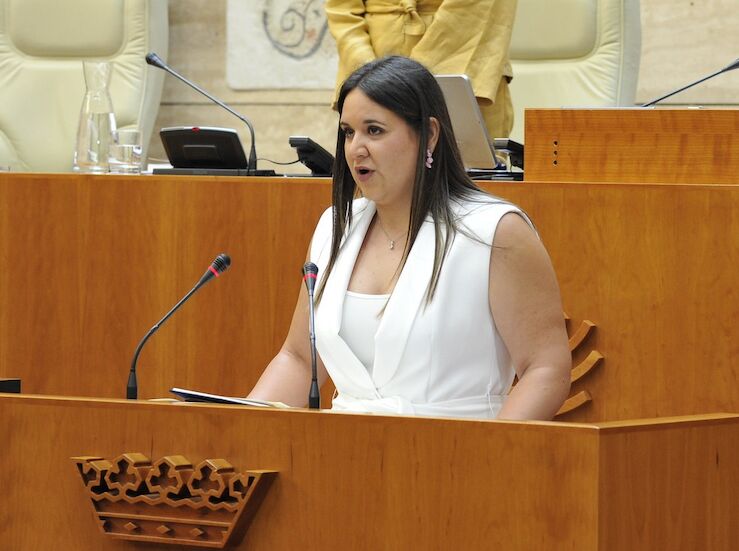 PSOE El VIII Plan de Juventud nace sin alma sin compormiso poltico y sin conexin