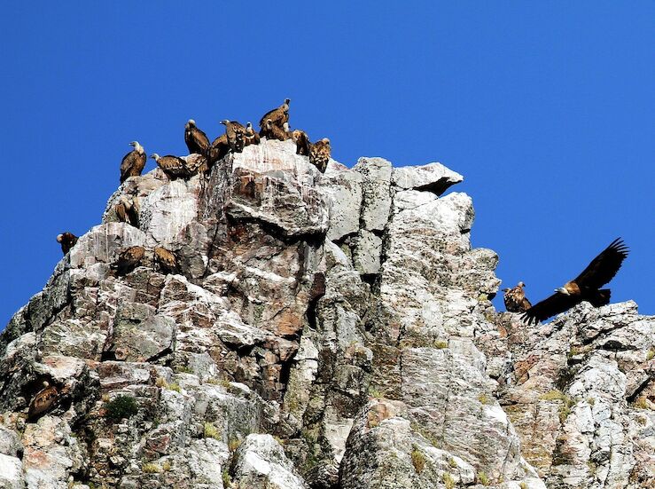 Estudio de la UEx analiza el Corredor Ambiental de Extremadura y su gobernanza turstica