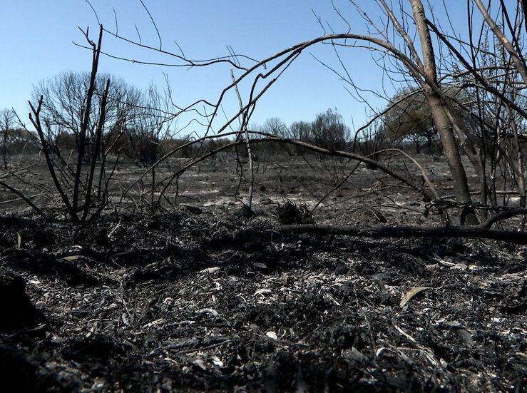 Actuacin en incendio de Valdecaballeros enfrenta a Junta y Delegacin del Gobierno