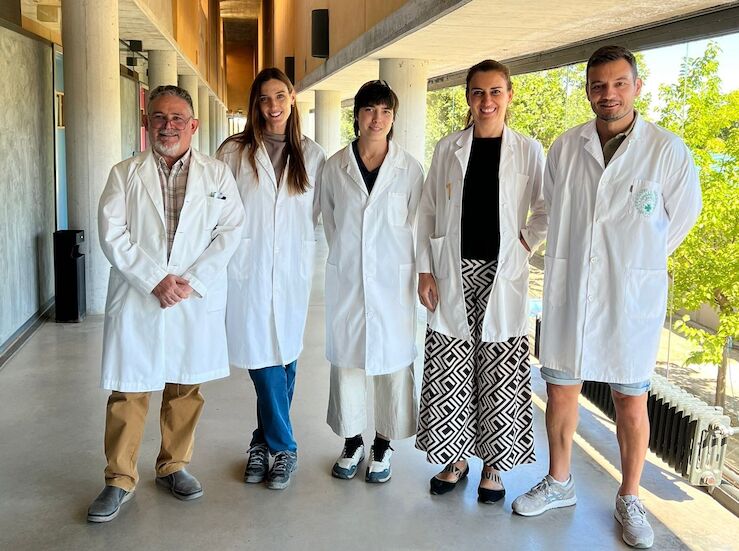 UEx analiza opciones al uso antibiticos en ganadera equina para tratamiento endometritis