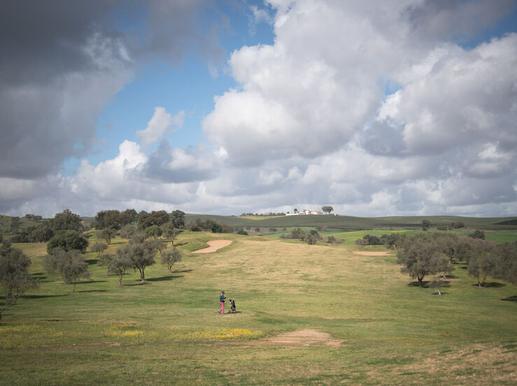 DOE recoge aprobacin inicial Plan Parcial del Sector de Suelo Urbanizable Nuevo Don Tello