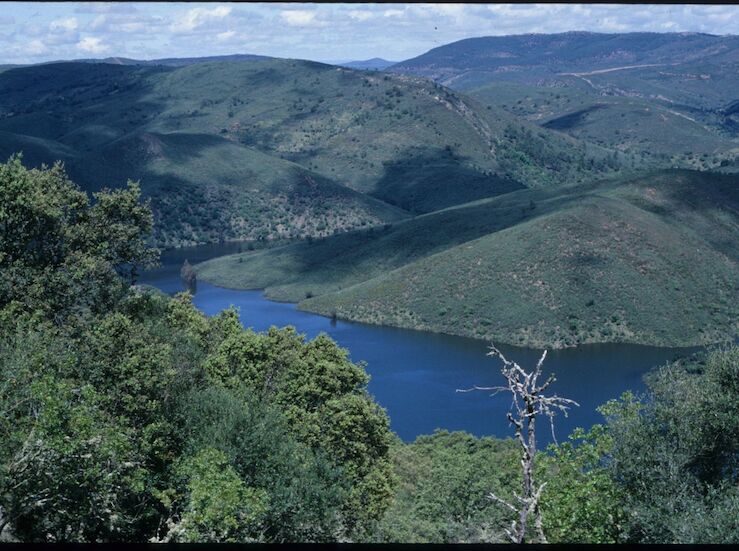 Adenex presenta alegaciones al proyecto del complejo hotelero Finca Valero